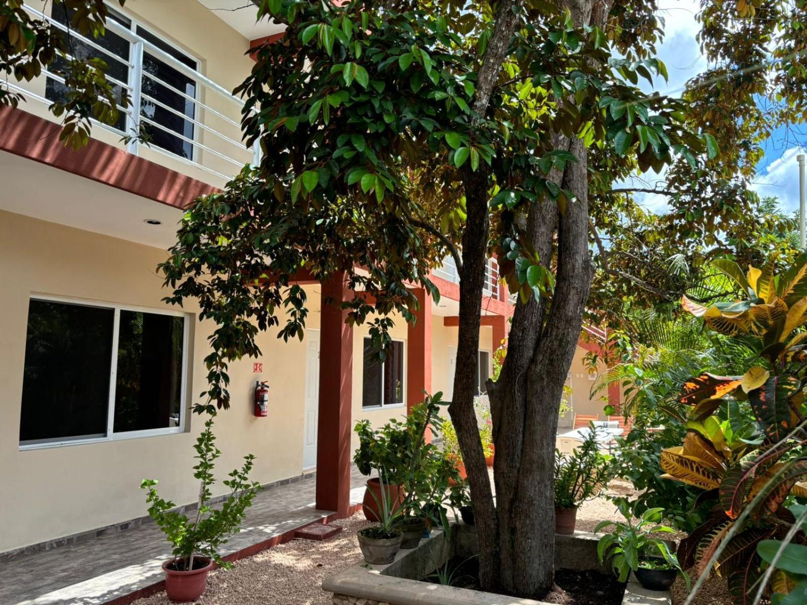 Casa Del Cenote Hotel Valladolid  Exterior photo